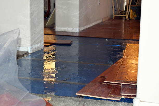 Professional Sewage Cleanup technician working in Solomon, AZ
